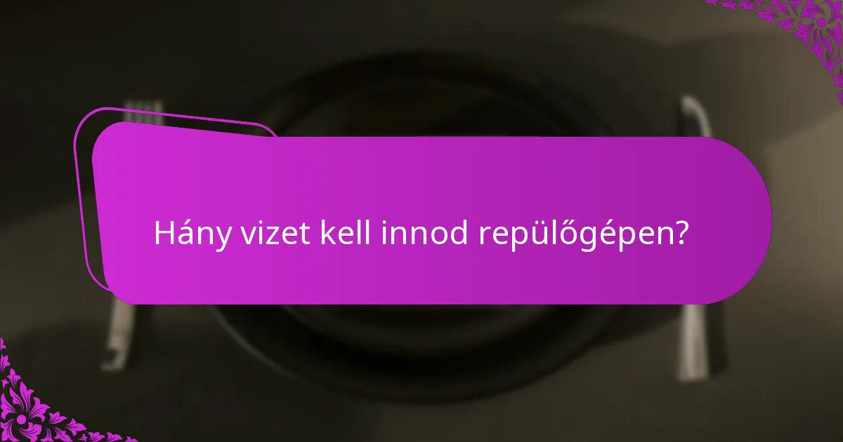 Hány vizet kell innod repülőgépen?