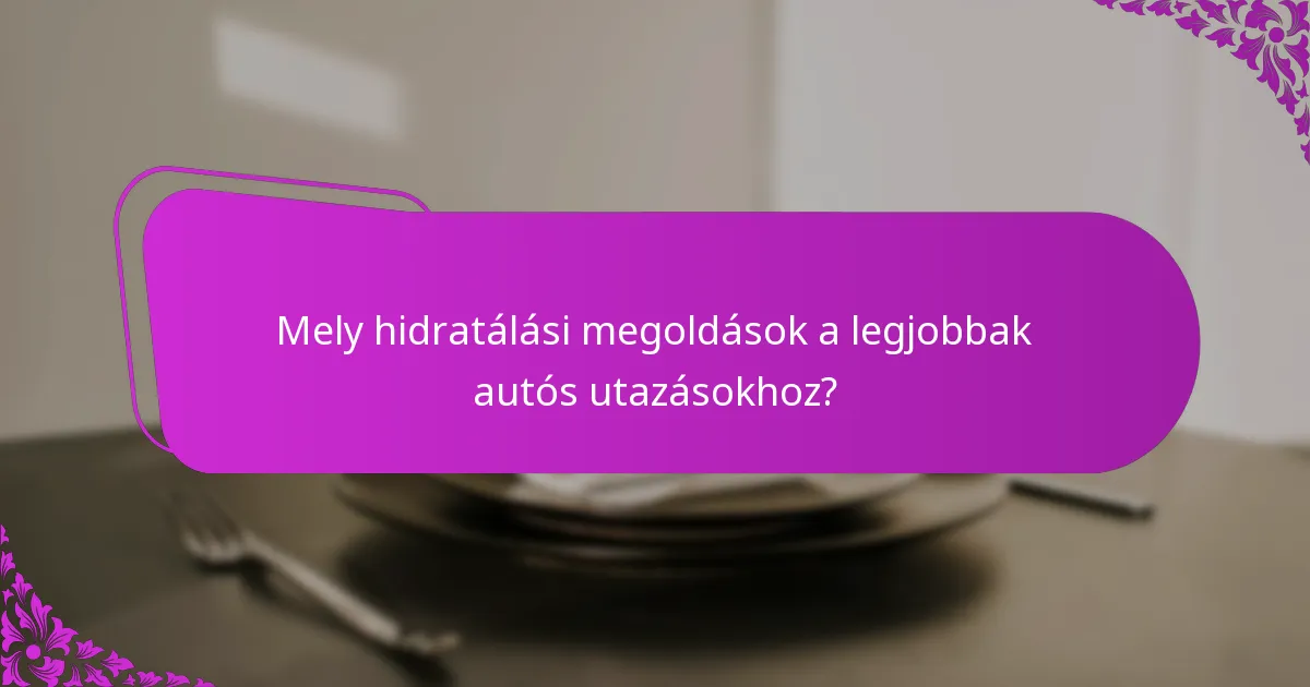 Mely hidratálási megoldások a legjobbak autós utazásokhoz?
